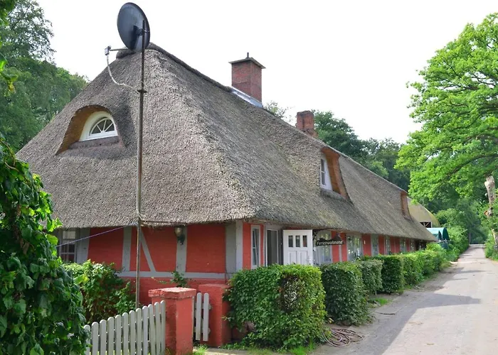 Wohnungen unter Reet